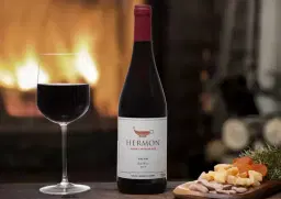 VINHO YARDEN MONT HERMON