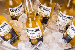 CORONA EXTRA LONG NECK