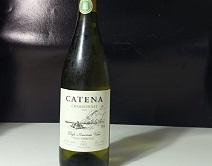 CATENA CHARDONAY-750ml-2023-