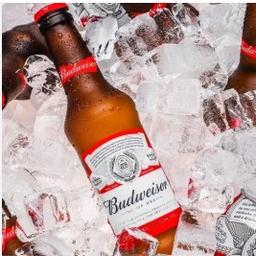 Budweiser Long Neck 330ml
